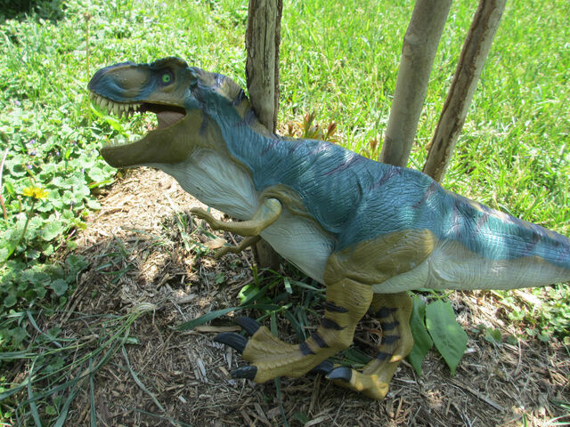 File:Bullrex5.jpg