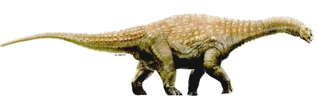 File:Diamantinasaurus.jpg