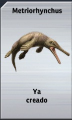 Metriorhynchus.jpg