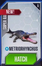 Metriorhynchus3.jpg