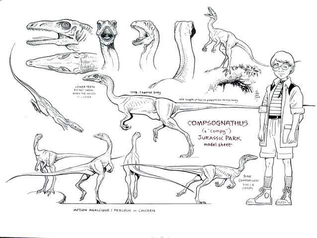 File:JPAniCompy.jpg