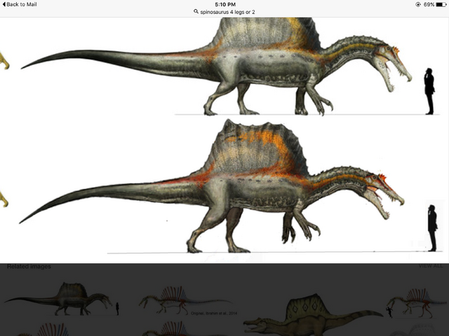 File:The new Spinosaurus .png