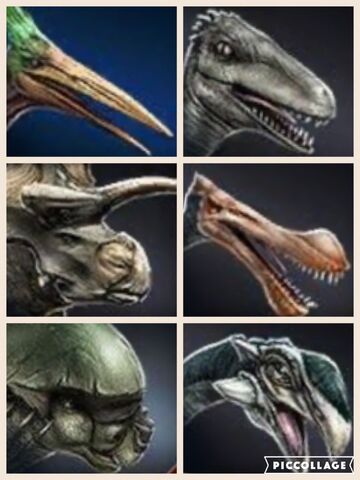 File:Hybrids.jpeg