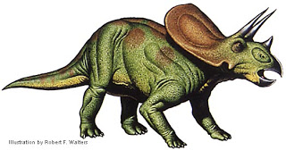 Torosaurus.jpg