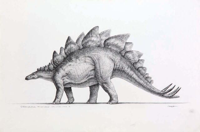 File:Stegosaurus concept art.jpg