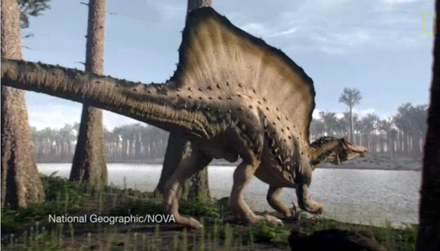 File:Real Spinosaurus.png