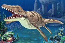 Trinacromerum