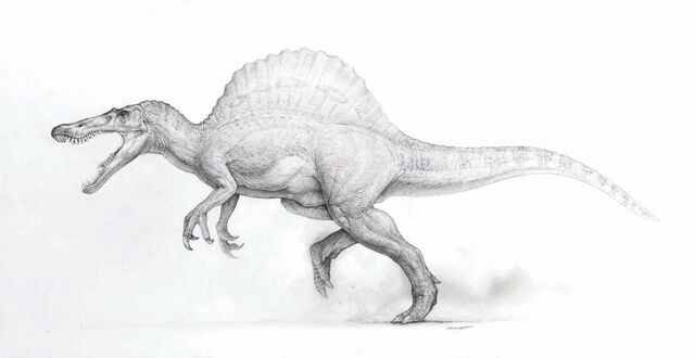 File:Spinosaurus-JP3-01.jpg