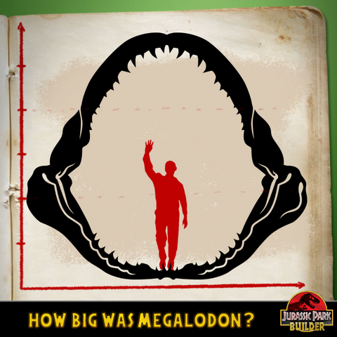 File:JPB Megalodon quiz 1.png