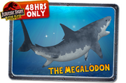 Megalodon