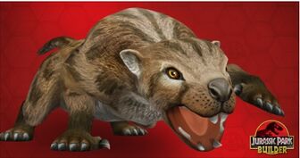 Thylacoleo