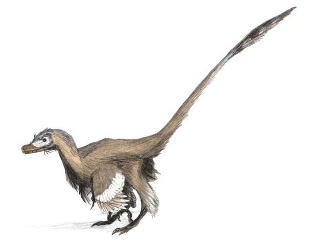 File:Velociraptor4b.jpg