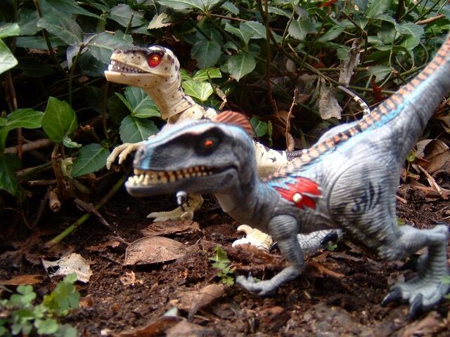 File:Pack raptor.jpg