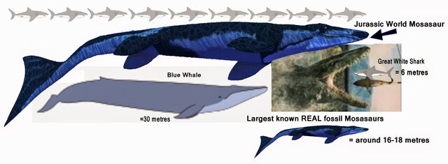 File:JW Mosasaur.jpg