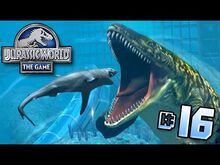 Shark hjkh.jpg