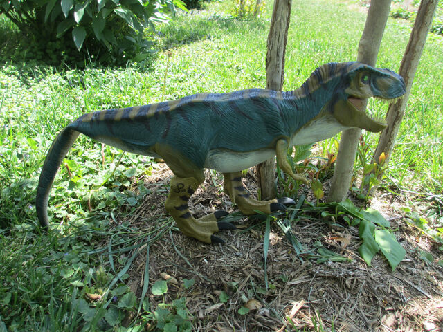 File:Bullrex1.jpg