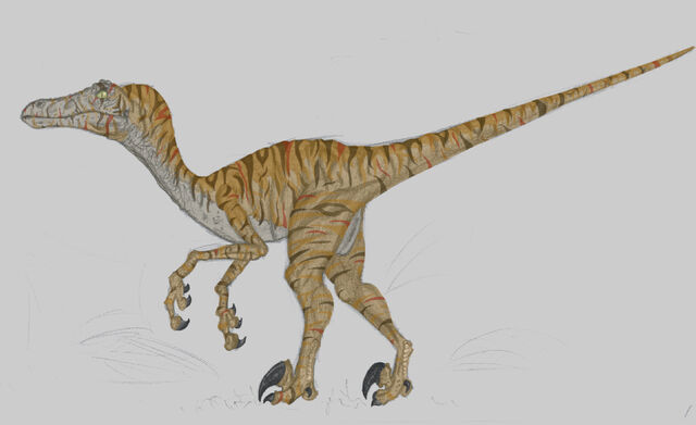 File:Jurassic Park Velociraptor.jpg