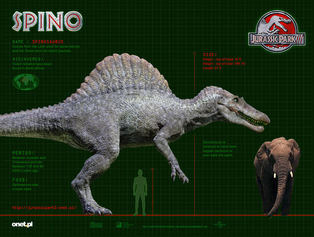 File:SPINO.jpg