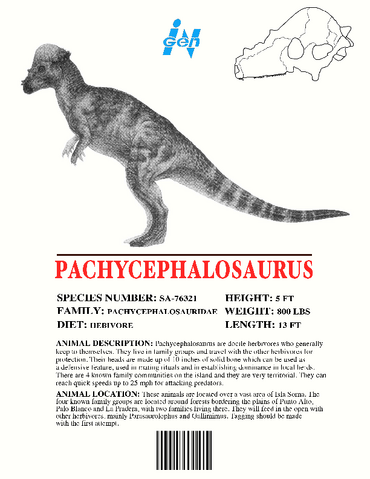 File:Ingen Dinosaur Info Sheets Pachycephalosaurus.png