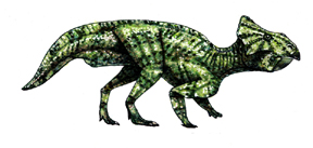 Leptoceratops.jpg