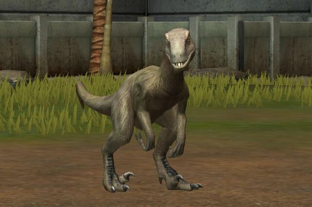 File:Utahraptor Oweni (74).jpg
