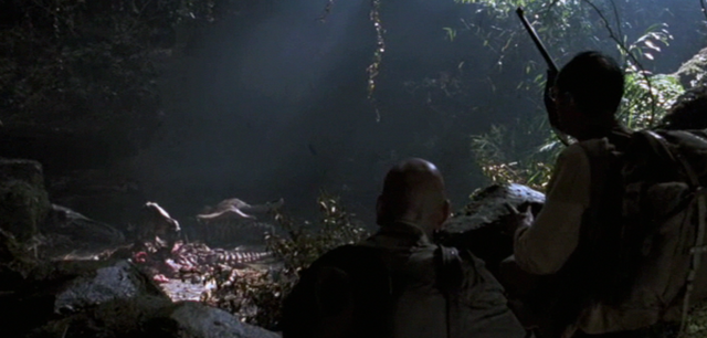 File:Rex-nest.png