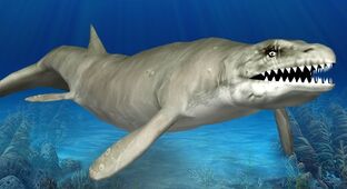 Basilosaurus.jpg