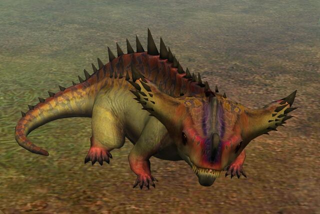 File:Diplotator (12).jpg
