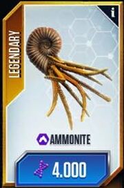 Ammonite