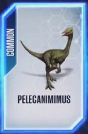Pelecanimimus.jpg