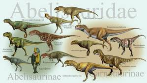 Abelisauridae 2.jpg