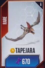 Tapejara JWTG