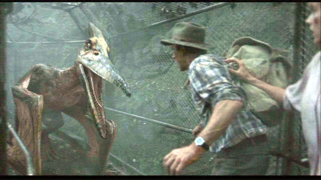 File:Cornered.jpg
