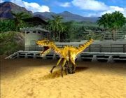 Megaraptor.jpg