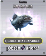Enchodus23.jpg