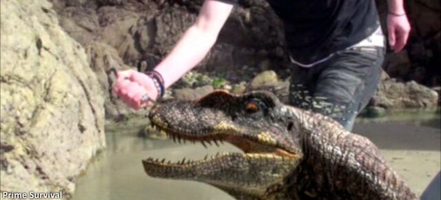 File:Prime survival raptor.jpg