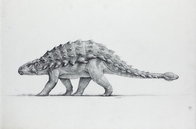 File:Artwork-anklyosaurus.jpg