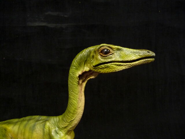 File:Jp compsognathus by baryonyx walkeri-d5uw5fg.jpg
