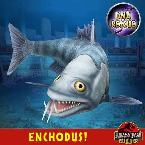 File:Enchodus.png