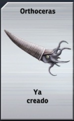 Orthoceras