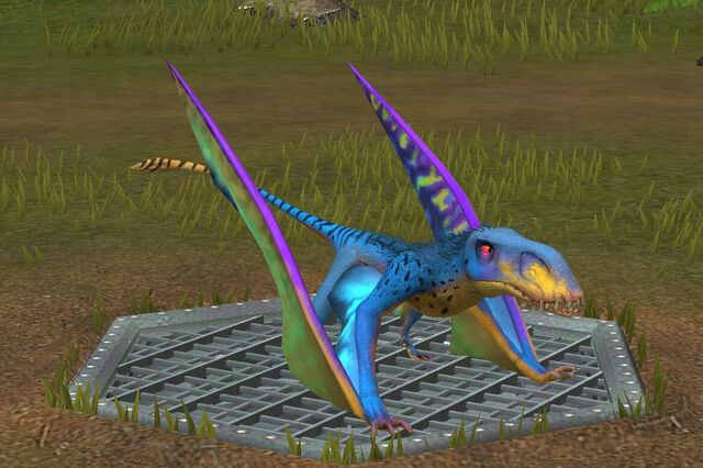 File:Dimo lvl 30.jpg