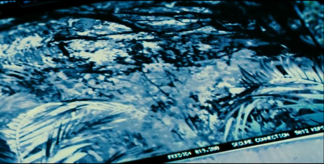 File:Indominus Rex (28).png