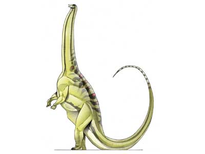Dc card bronto2 big