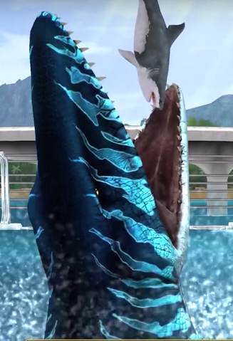 File:Nom.png