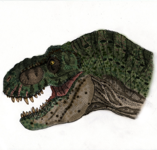 File:161.png
