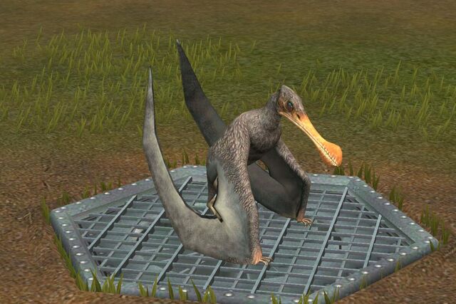File:Tropeognathus (20).jpg