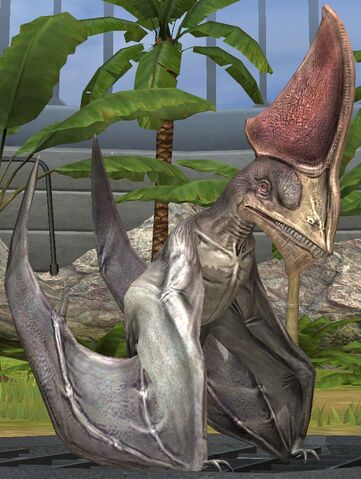 File:Tapejara lvl 10.jpg