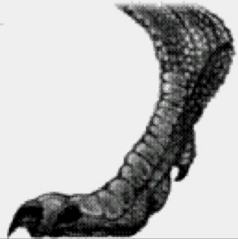 File:Procompsega2.png