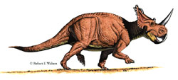 Centrosaur