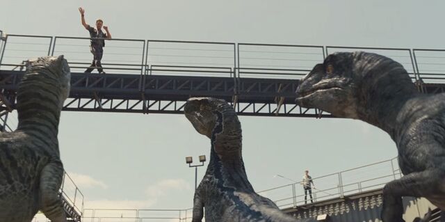 File:OwenRaptors.jpeg